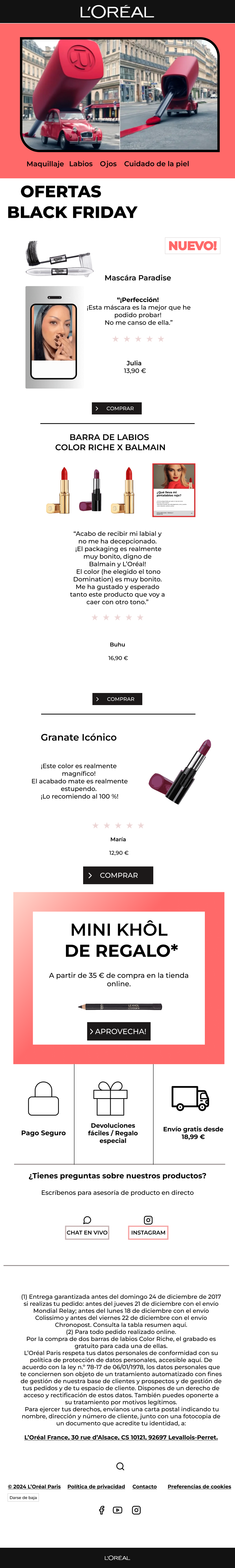 Newsletter LOreal iPad